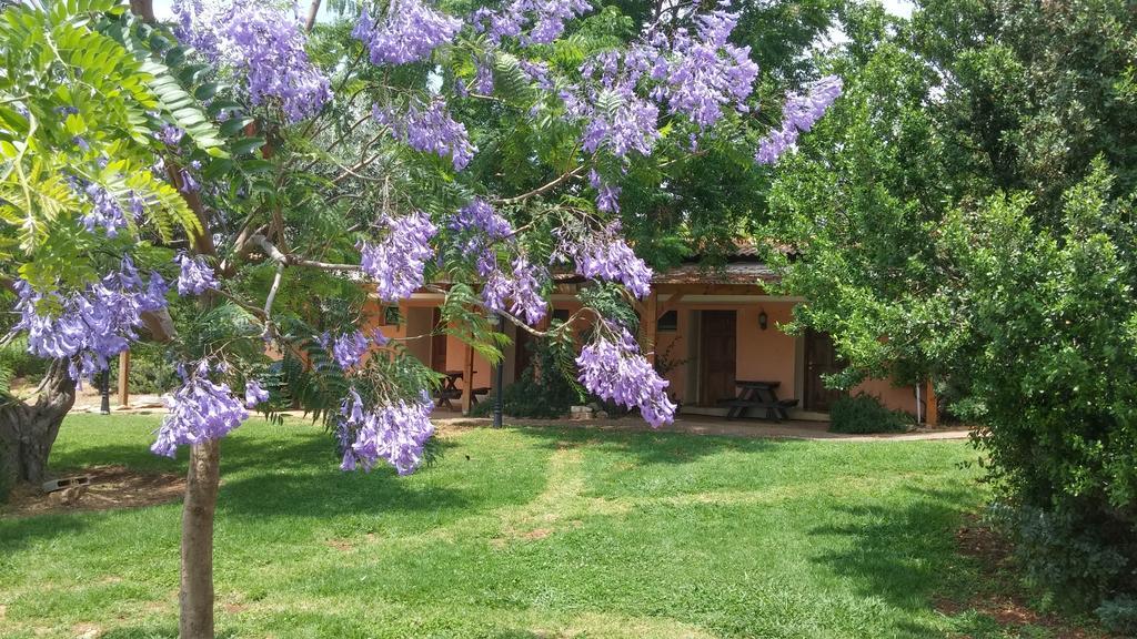 Kibbutz Moran Digital Nomads Village-Adults Only Экстерьер фото