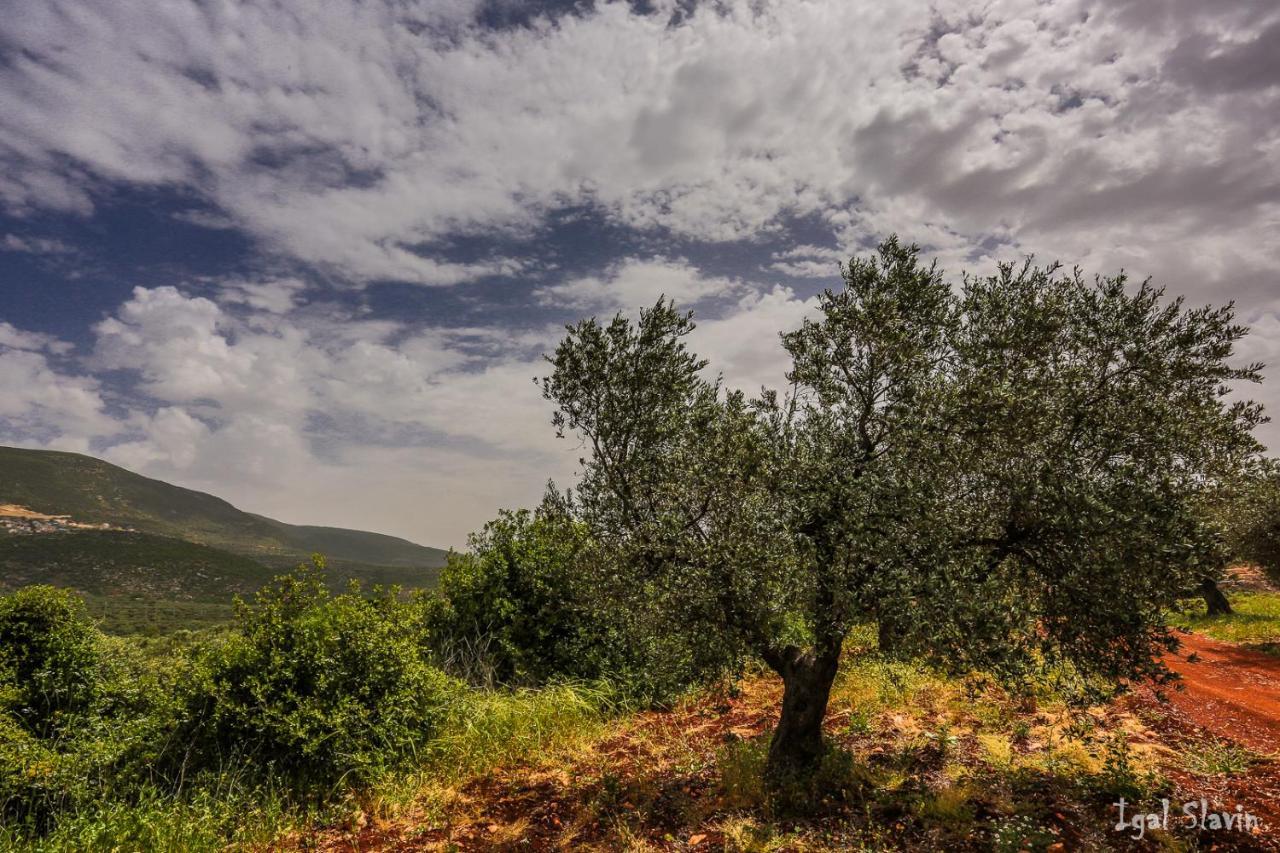 Kibbutz Moran Digital Nomads Village-Adults Only Экстерьер фото