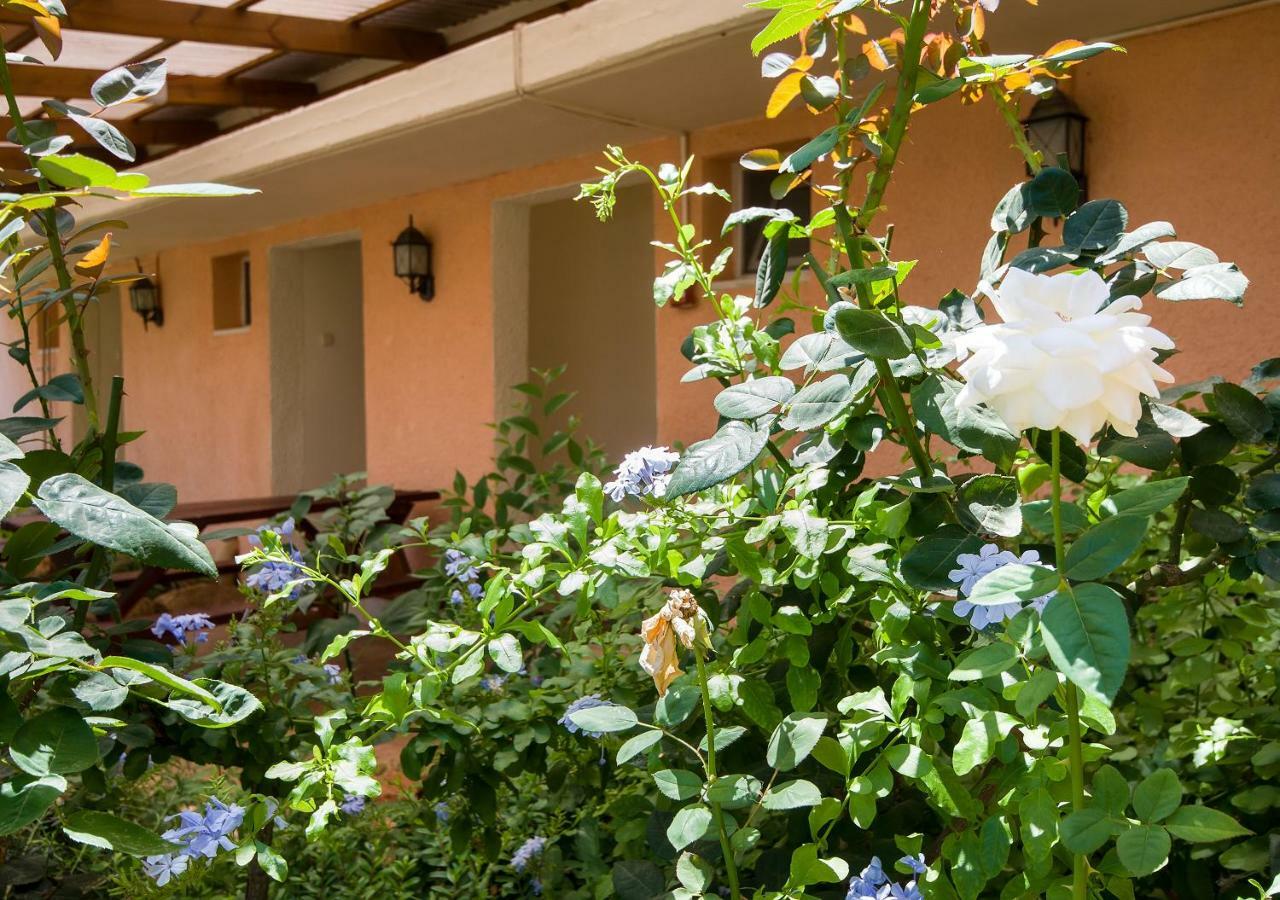 Kibbutz Moran Digital Nomads Village-Adults Only Экстерьер фото