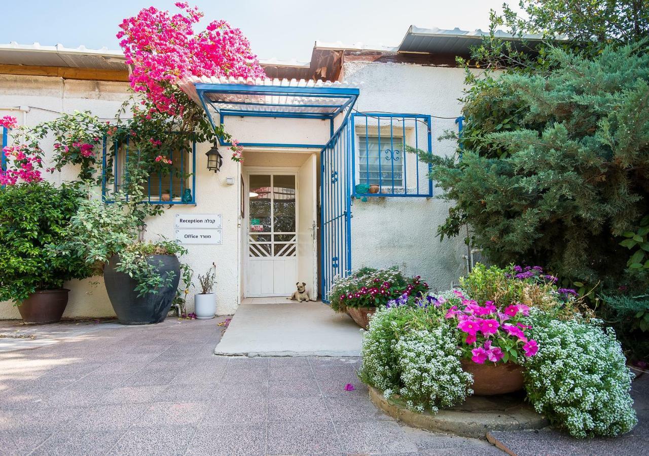 Kibbutz Moran Digital Nomads Village-Adults Only Экстерьер фото