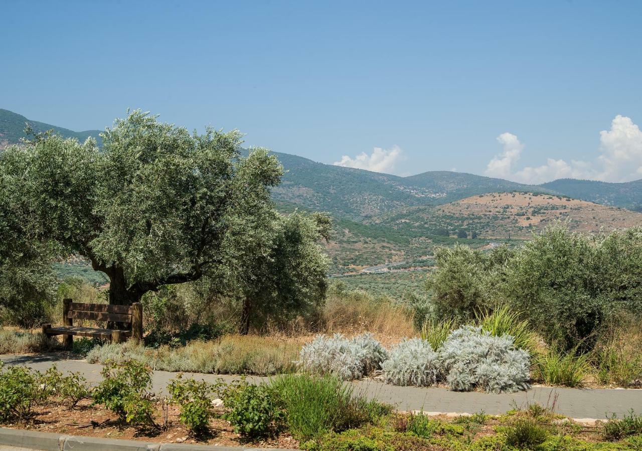 Kibbutz Moran Digital Nomads Village-Adults Only Экстерьер фото