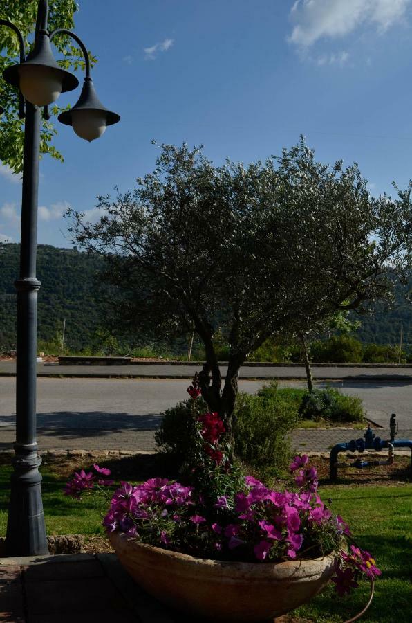 Kibbutz Moran Digital Nomads Village-Adults Only Экстерьер фото